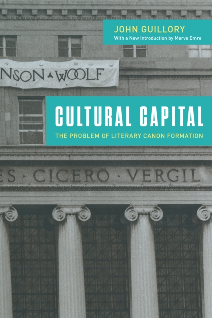 Cultural Capital : The Problem of Literary Canon Formation, EPUB eBook