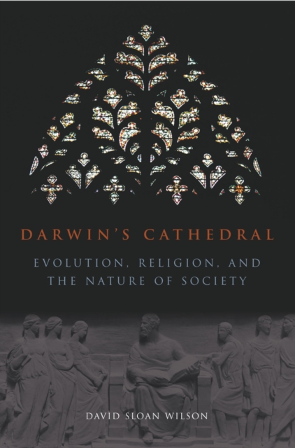 Darwin's Cathedral : Evolution, Religion, and the Nature of Society, EPUB eBook