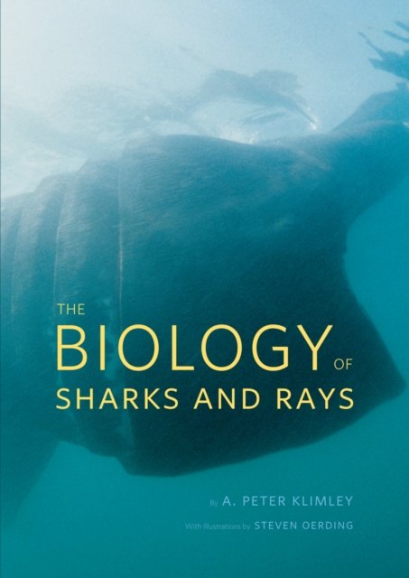 The Biology of Sharks and Rays, PDF eBook