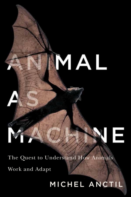 Animal as Machine : The Quest to Understand How Animals Work and Adapt, Hardback Book