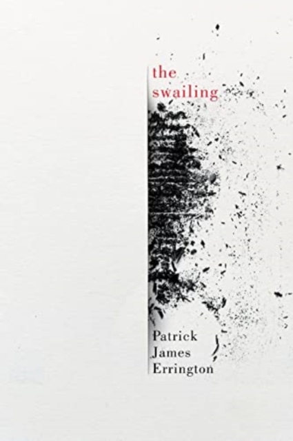 the swailing, Paperback / softback Book