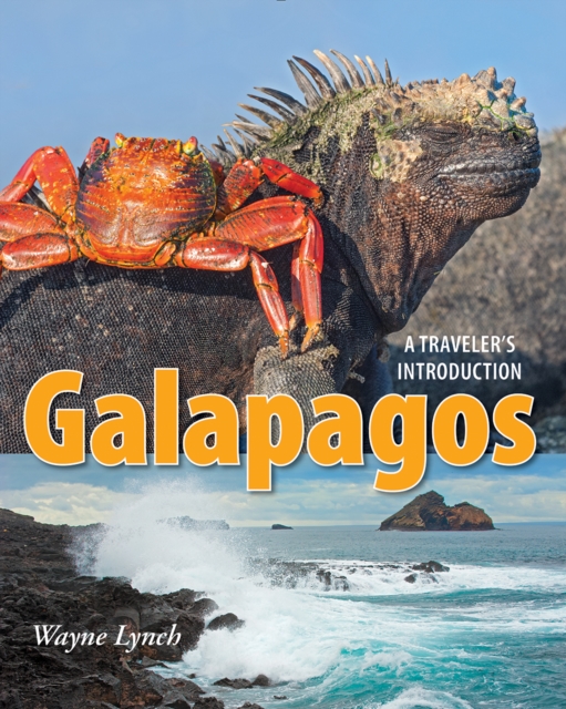 Galapagos: A Traveler's Introduction, Paperback / softback Book
