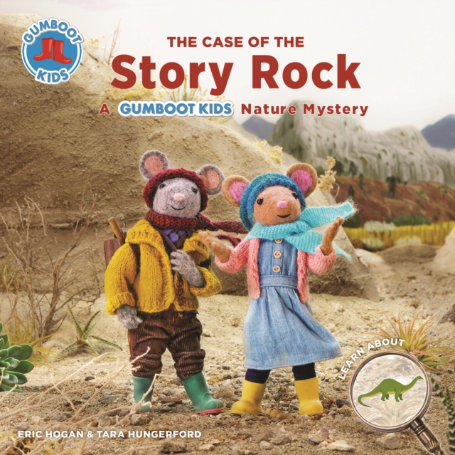 The Case of the Story Rock, Hardback Book