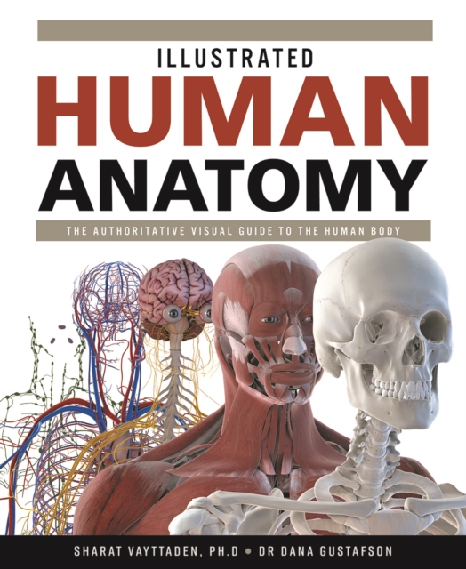 Illustrated Human Anatomy, Hardback Book