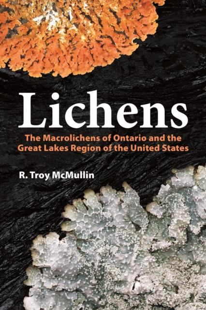 Lichens : The Macrolichens of Ontario and the Great Lakes Region of the United States, Hardback Book