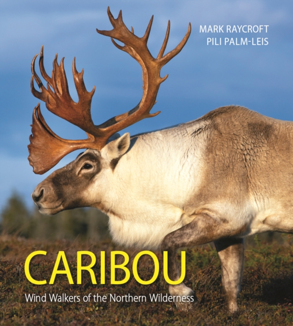 Caribou : Wind Walkers of the Northern Wilderness, Paperback / softback Book