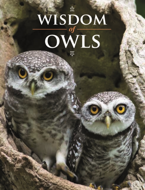 Wisdom of Owls, Hardback Book
