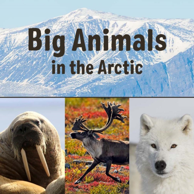 Big Animals in the Arctic : English Edition, Paperback / softback Book