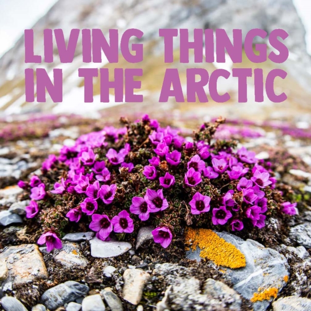 Living Things in the Arctic : English Edition, Paperback / softback Book