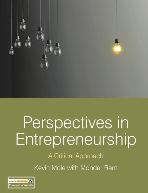 Perspectives in Entrepreneurship : A Critical Approach, Paperback / softback Book