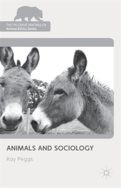 Animals and Sociology, Paperback / softback Book