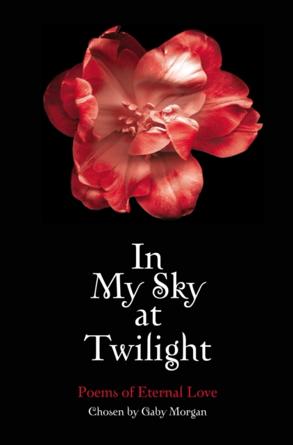In My Sky at Twilight : Poems of Eternal Love, EPUB eBook