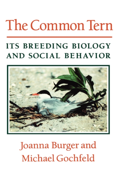 The Common Tern : Its Breeding Biology and Social Behavior, Hardback Book