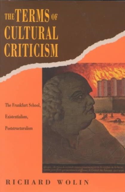 The Terms of Cultural Criticism : The Frankfurt School, Existentialism, Poststructuralism, Paperback / softback Book