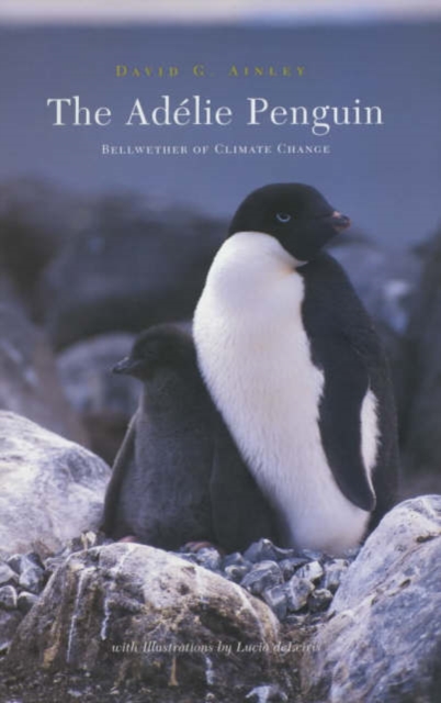 The Adelie Penguin : Bellwether of Climate Change, Hardback Book