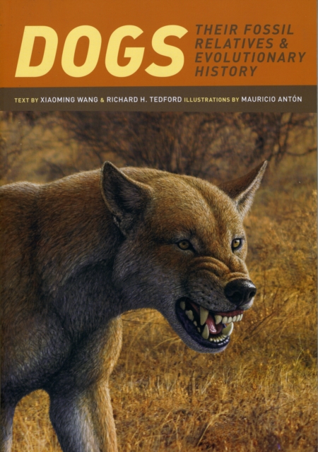 Dogs : Their Fossil Relatives and Evolutionary History, Paperback / softback Book