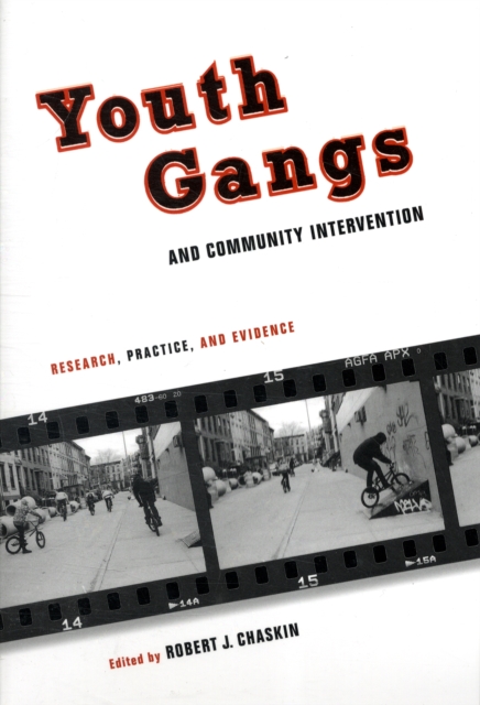Youth Gangs and Community Intervention : Research, Practice, and Evidence, Paperback / softback Book