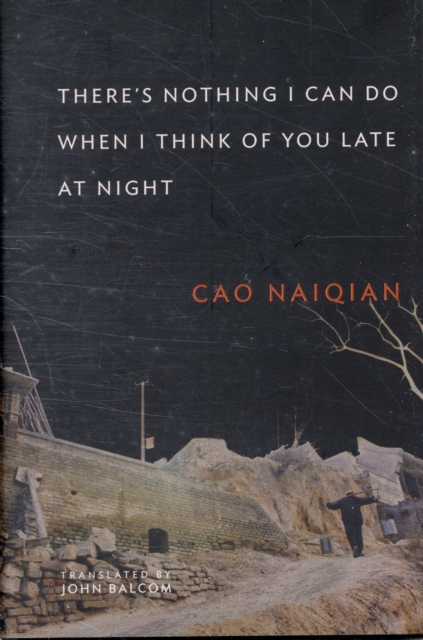 There’s Nothing I Can Do When I Think of You Late at Night, Hardback Book