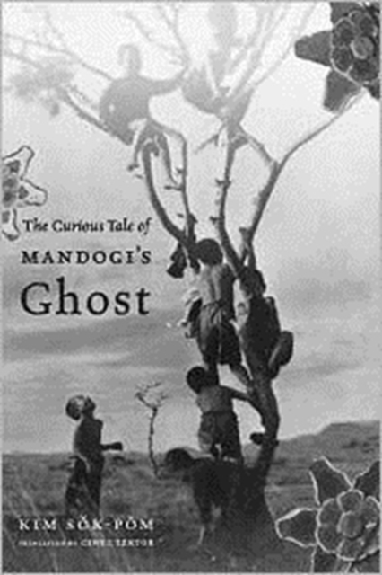 The Curious Tale of Mandogi's Ghost, Hardback Book