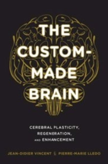 The Custom-Made Brain : Cerebral Plasticity, Regeneration, and Enhancement, Hardback Book