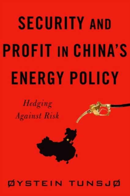 Security and Profit in China’s Energy Policy : Hedging Against Risk, Hardback Book