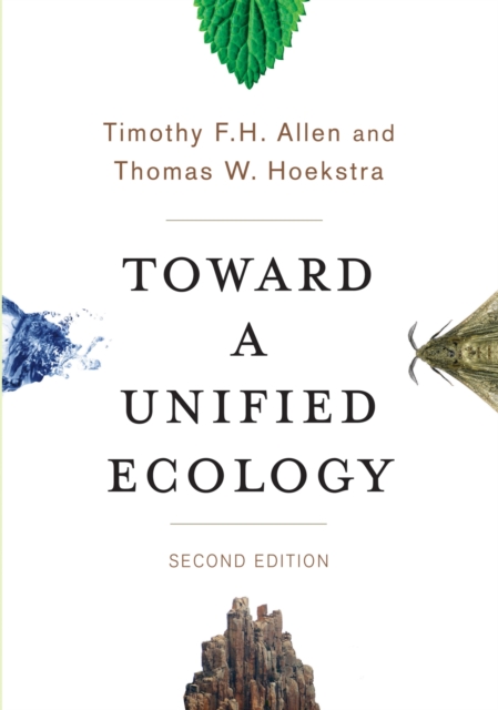 Toward a Unified Ecology, Paperback / softback Book