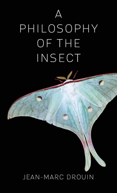 A Philosophy of the Insect, Hardback Book