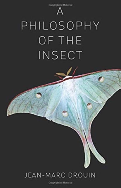 A Philosophy of the Insect, Paperback / softback Book