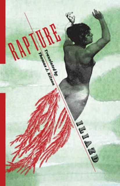 Rapture : A Novel, Paperback / softback Book