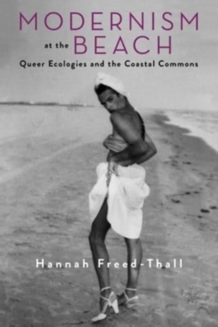 Modernism at the Beach : Queer Ecologies and the Coastal Commons, Paperback / softback Book