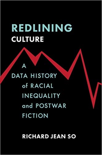 Redlining Culture : A Data History of Racial Inequality and Postwar Fiction, Paperback / softback Book