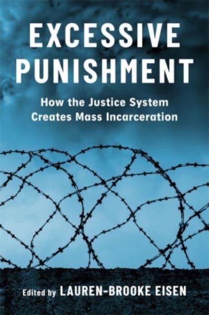 Excessive Punishment : How the Justice System Creates Mass Incarceration, Hardback Book
