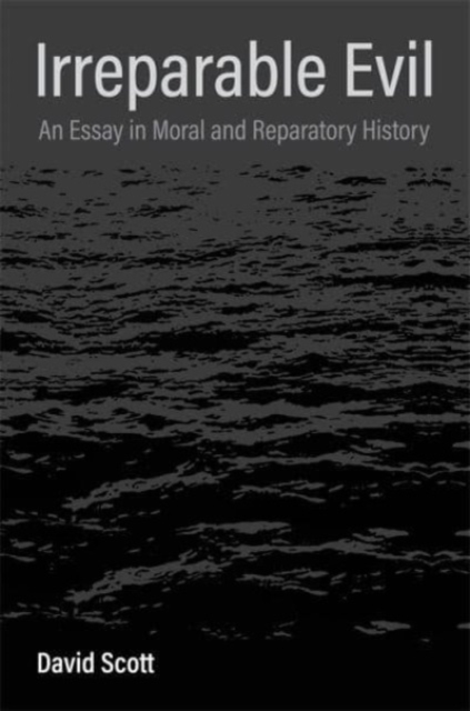 Irreparable Evil : An Essay in Moral and Reparatory History, Hardback Book
