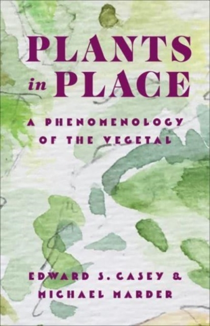 Plants in Place : A Phenomenology of the Vegetal, Paperback / softback Book
