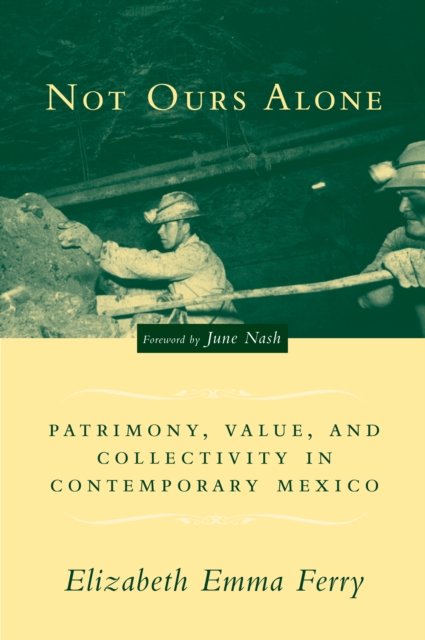 Not Ours Alone : Patrimony, Value, and Collectivity in Contemporary Mexico, EPUB eBook
