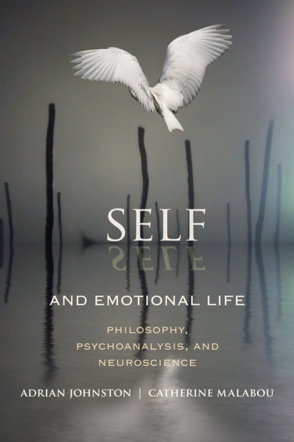 Self and Emotional Life : Philosophy, Psychoanalysis, and Neuroscience, EPUB eBook