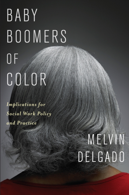 Baby Boomers of Color : Implications for Social Work Policy and Practice, EPUB eBook