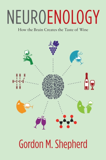 Neuroenology : How the Brain Creates the Taste of Wine, EPUB eBook