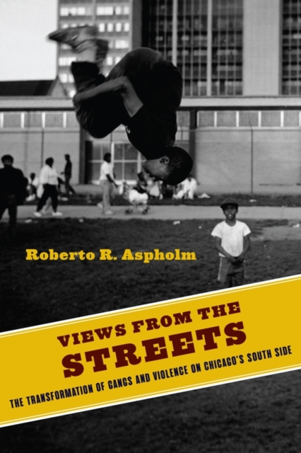 Views from the Streets : The Transformation of Gangs and Violence on Chicago's South Side, EPUB eBook