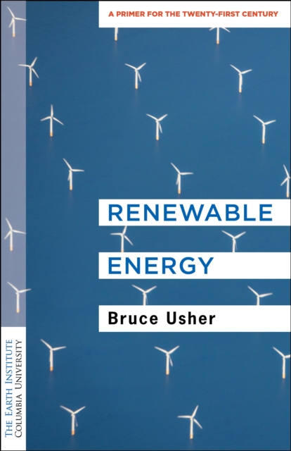 Renewable Energy : A Primer for the Twenty-First Century, EPUB eBook