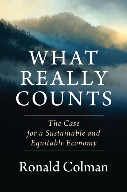 What Really Counts : The Case for a Sustainable and Equitable Economy, EPUB eBook