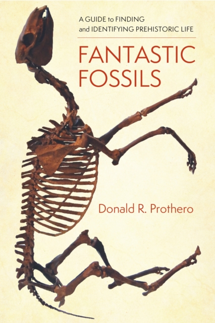 Fantastic Fossils : A Guide to Finding and Identifying Prehistoric Life, EPUB eBook
