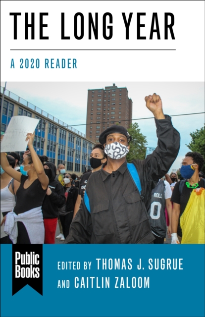 The Long Year : A 2020 Reader, EPUB eBook