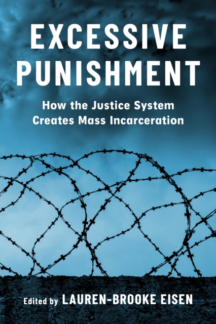 Excessive Punishment : How the Justice System Creates Mass Incarceration, EPUB eBook