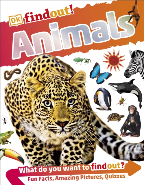 DKfindout! Animals, Paperback / softback Book