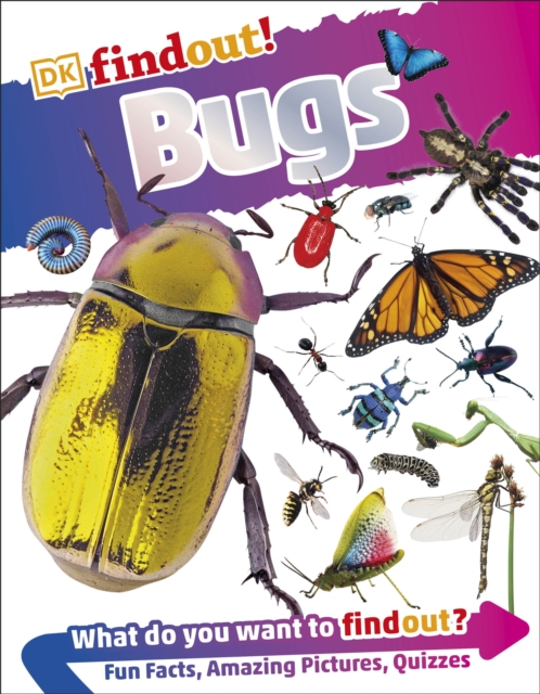 DKfindout! Bugs, Paperback / softback Book