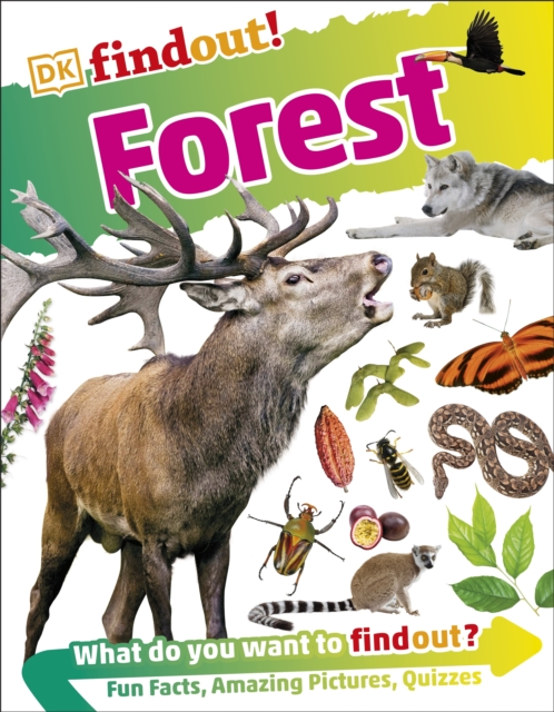 DKfindout! Forest, Paperback / softback Book