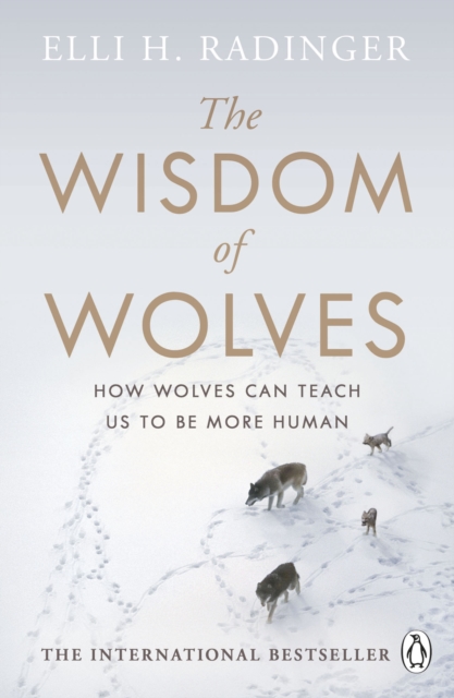 The Wisdom of Wolves : How Wolves Can Teach Us To Be More Human, EPUB eBook