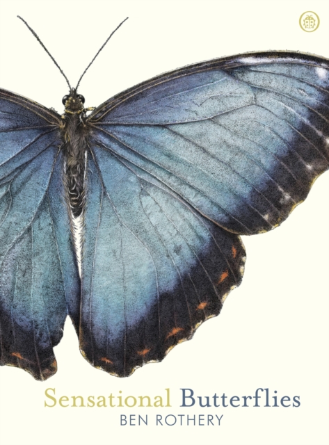 Sensational Butterflies, Hardback Book