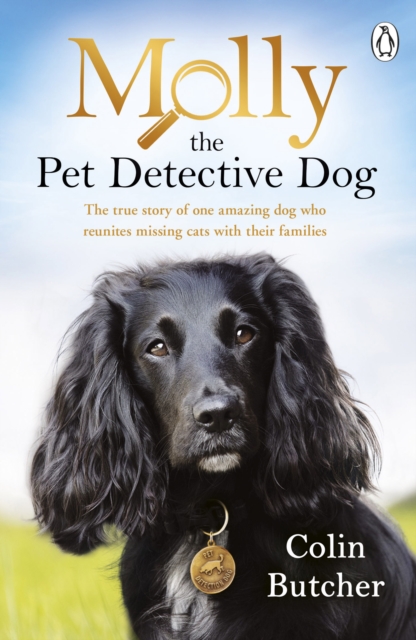 Molly the Pet Detective Dog : The true story of one amazing dog who reunites missing cats with their families, Paperback / softback Book